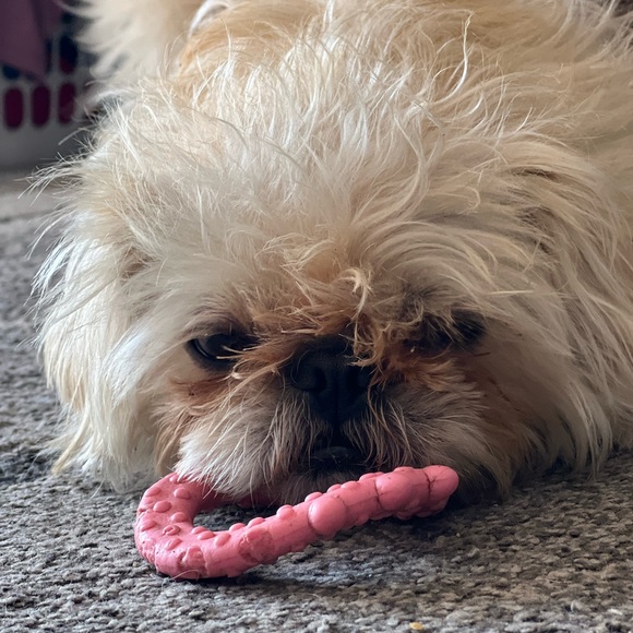 Meet your Posher, Tammy - Picture 2 of 5